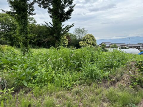 草刈り・除草作業