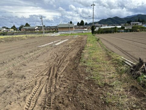 畑灌撤去工事