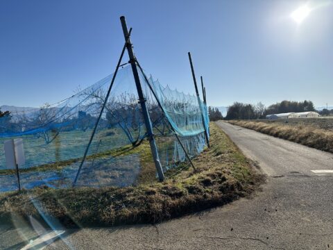 防風ネット改修工事①